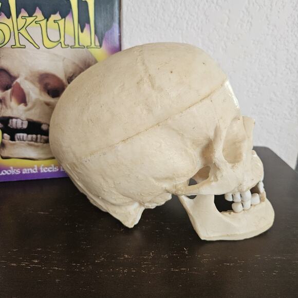Vintage Halloween Skull Blow Mold Hinged Moveable Jaw Paper Magic Group - Picture 3 of 10